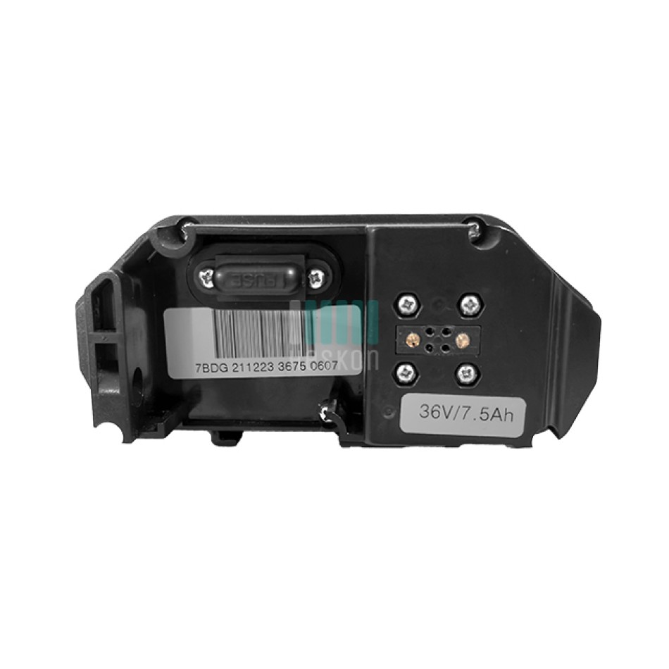 Blaupunkt Type Gepäcktrager 36v (Frida, Franzi, Lotte, Emmi, Minna, Clara)